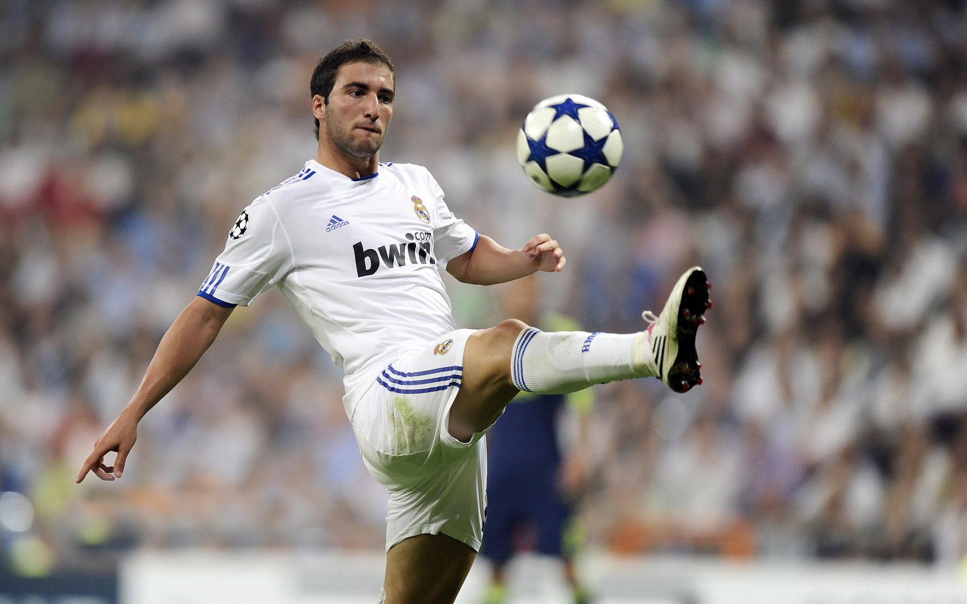 开云官网-未来趋势：联盟的“绿色计划”将引领体育环保新风尚，绿色联盟应用体验标准